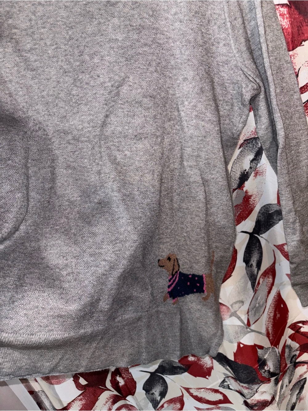 Astrologie Gray Sweater with Brown Dachshund Motifs - Picture 2 of 3